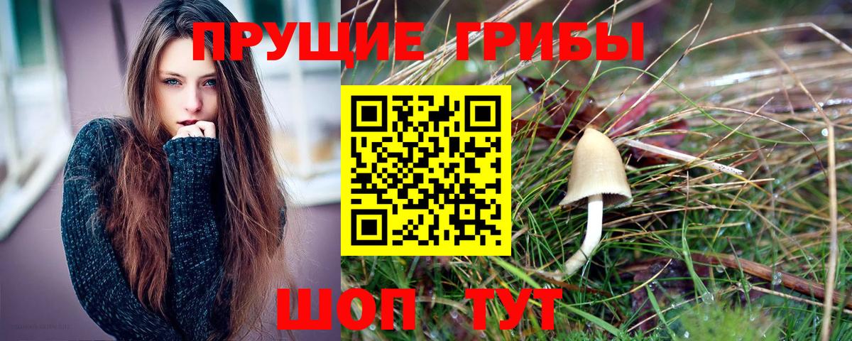 Псилоцибиновые грибы мицелий Ленинск-Кузнецкий