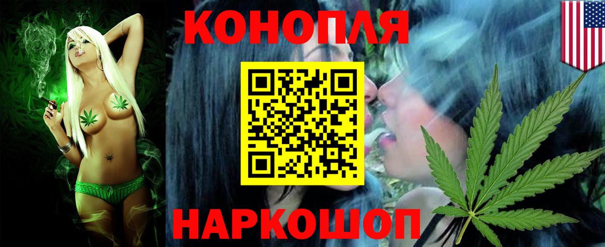 Бошки Шишки семена Ленинск-Кузнецкий